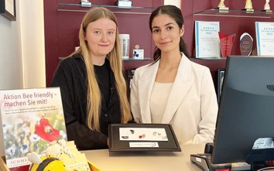 Sommerpraktikum mit Förderung